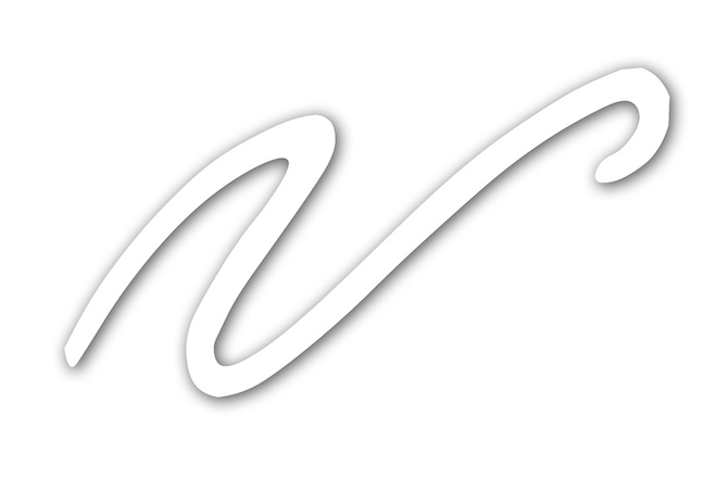 Copia di vault_logo-white